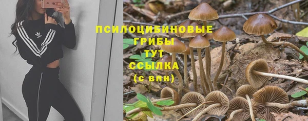 COCAINE Горнозаводск